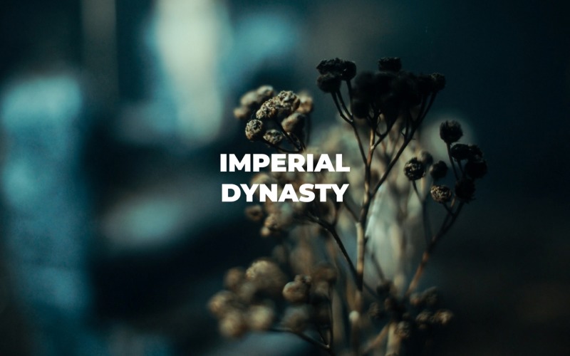 Gloomy Death / IMPERIAL DYNASTY