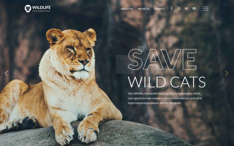 野生动物-野生动物多页创意HTML网站模板