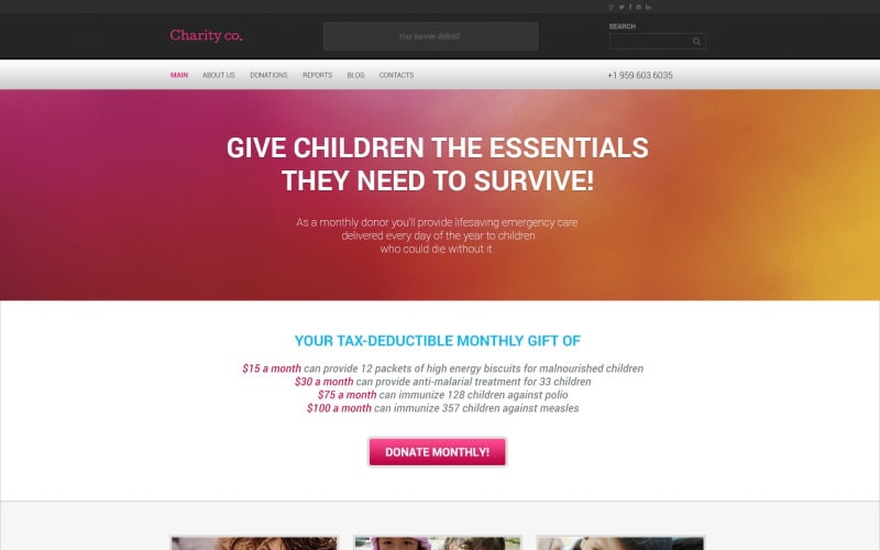Simple Charity WordPress Theme
