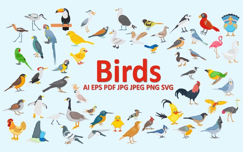 Birds: Discover the Beauty and Diversity of Feathered Creatures