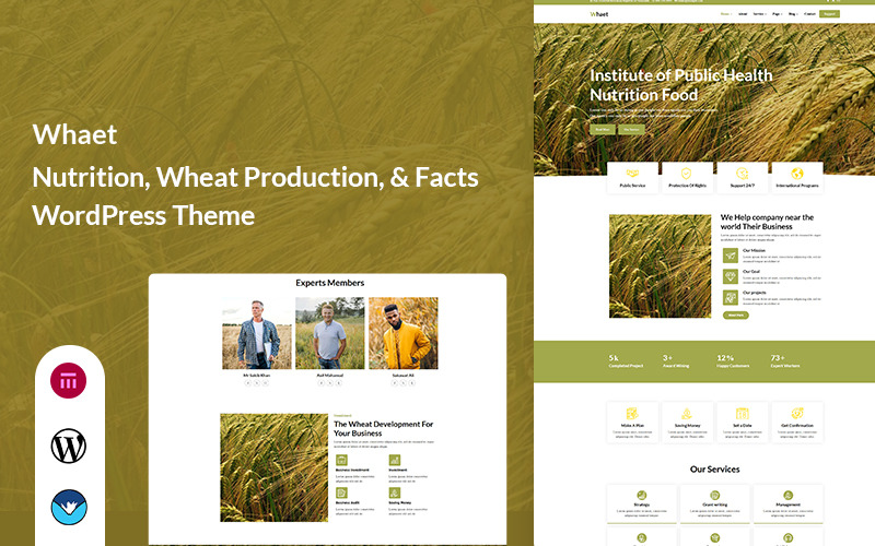 Whaet - Nutrizione, produzione di grano e tema WordPress sui fatti