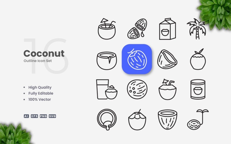 16 Coconut Outline Icon Set