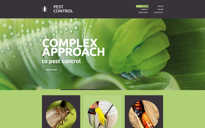 Pest Control Responsive Website Template