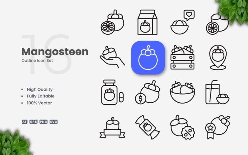 16 Mangosteen Outline Icon Set