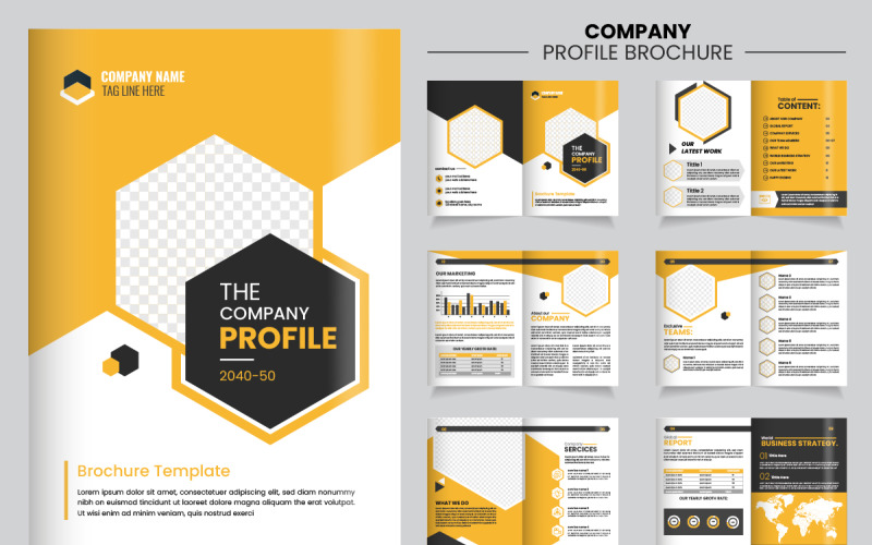 Company profile brochure design showcasing various sections and graphics