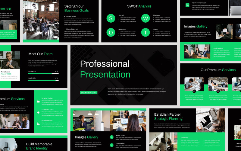 Professional Presentation - PowerPoint