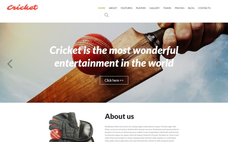 Modello Joomla di Cricket Club