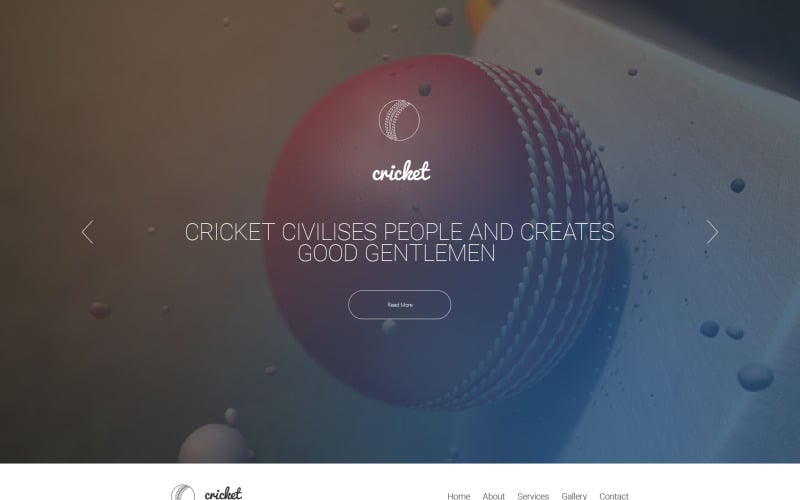 Cricket 网站 Template