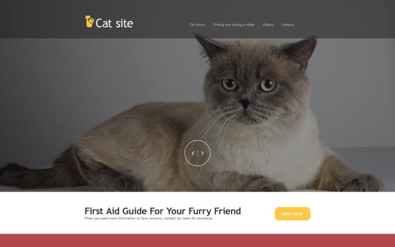 Cat Muse Template