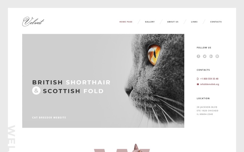 Cat Responsive Website-Vorlage