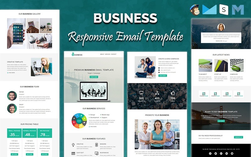 Business - Modello di newsletter reattivo