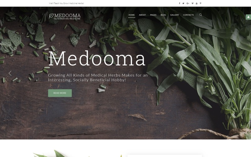 Medooma - Modèle Joomla de médecine alternative