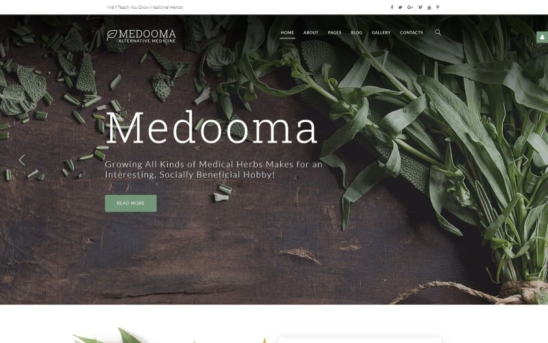 Šablona Joomla z Medooma - alternativní medicína