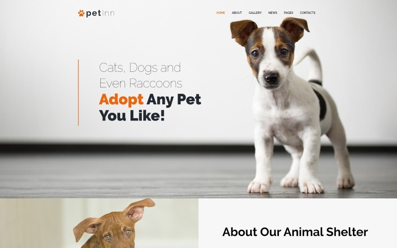 petin -反应灵敏的动物 & 宠物慈善WordPress主题
