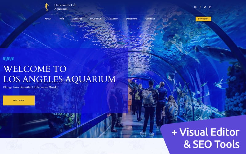 Public Aquarium 溢价 Moto CMS 3 Template