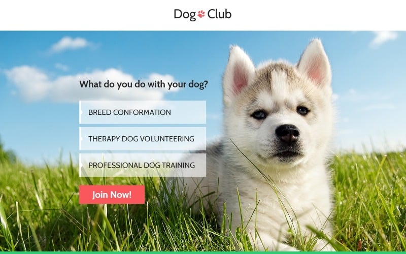狗俱乐部-狗建设者兼容Novi建设者登陆页模板