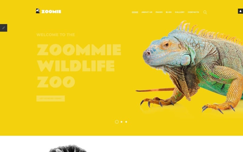 Zoomie - Шаблон Joomla Wildlife Zoo