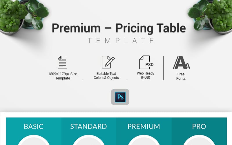 Domain - Preistabelle Infografik Elemente