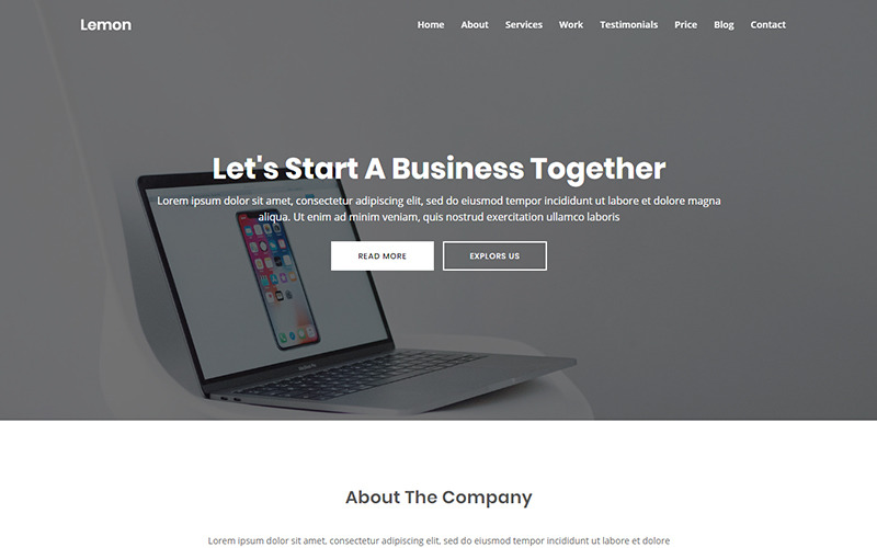 香橼-商业目的网页模板