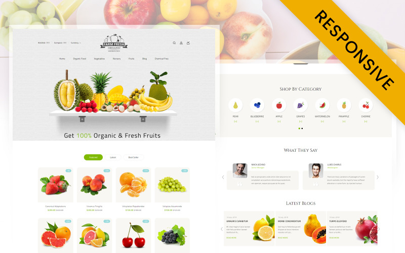 Tema Organic Store Shopify