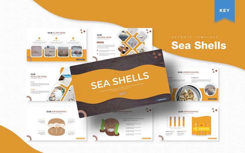 Sea Shells - Keynote-sjabloon