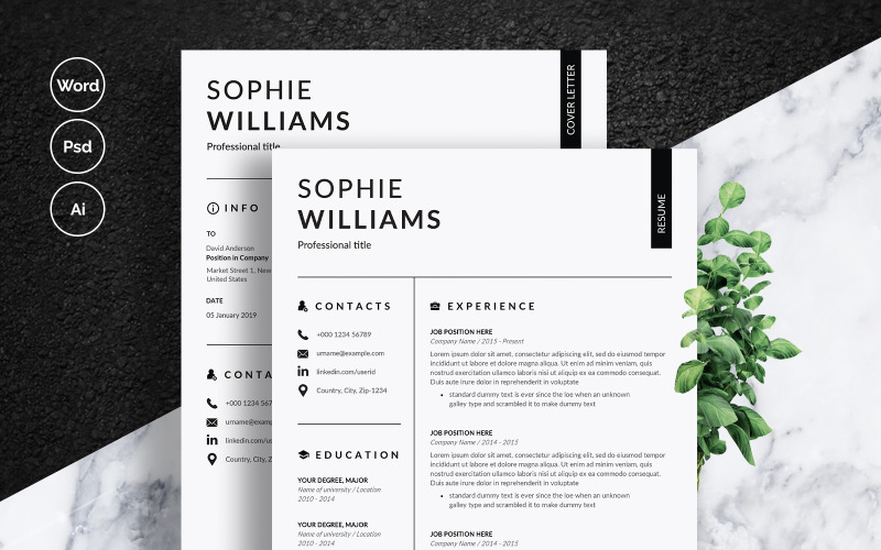 Modelo de currículo de Sophie Williams