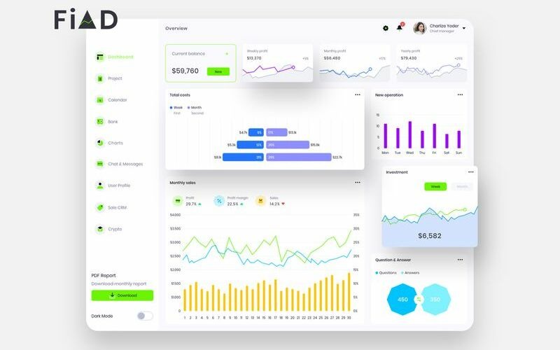 Šablona uživatelského rozhraní FiAD Finance Dashboard Light Sketch