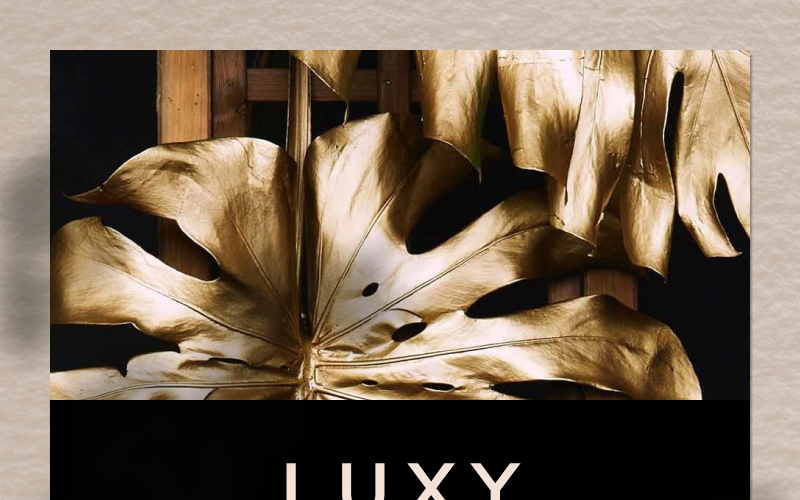 LUXY PowerPoint-Vorlage