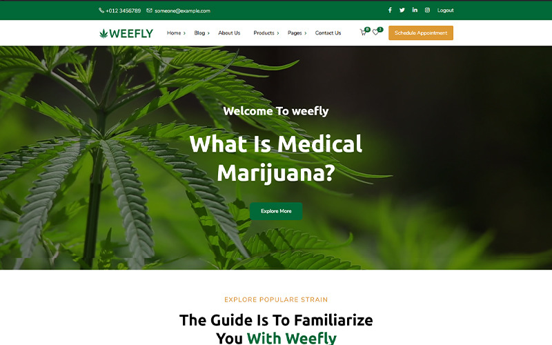 Weefly | Medicinsk cannabis och marijuana WordPress-tema