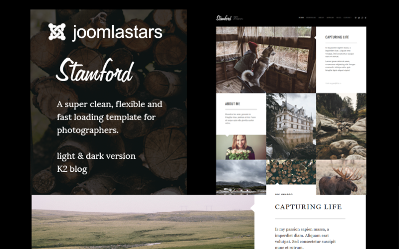 斯坦福德-摄影，作品集和博客Joomla模板