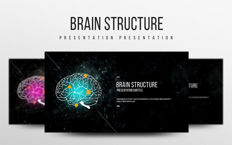 大脑结构的PowerPoint模型