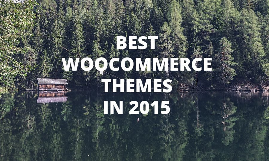 premium woocommerce theme