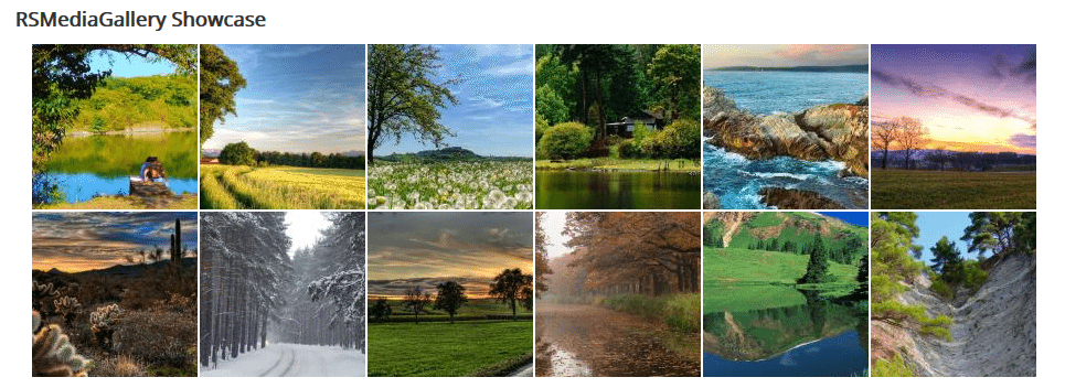 rs media gallery nulled scripts