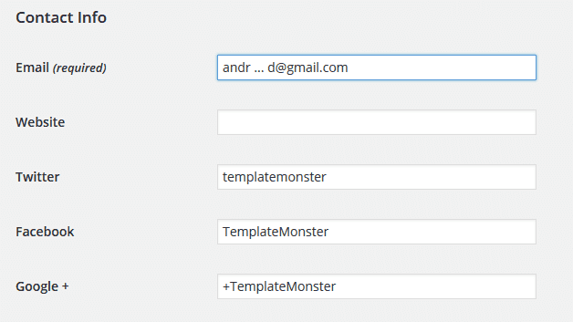 User profile information in WordPress admin panel