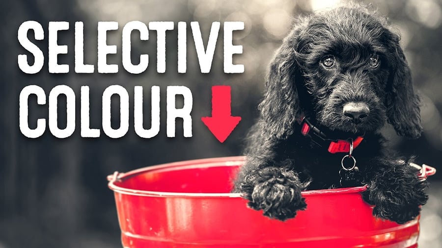 how to create selective photo effect
