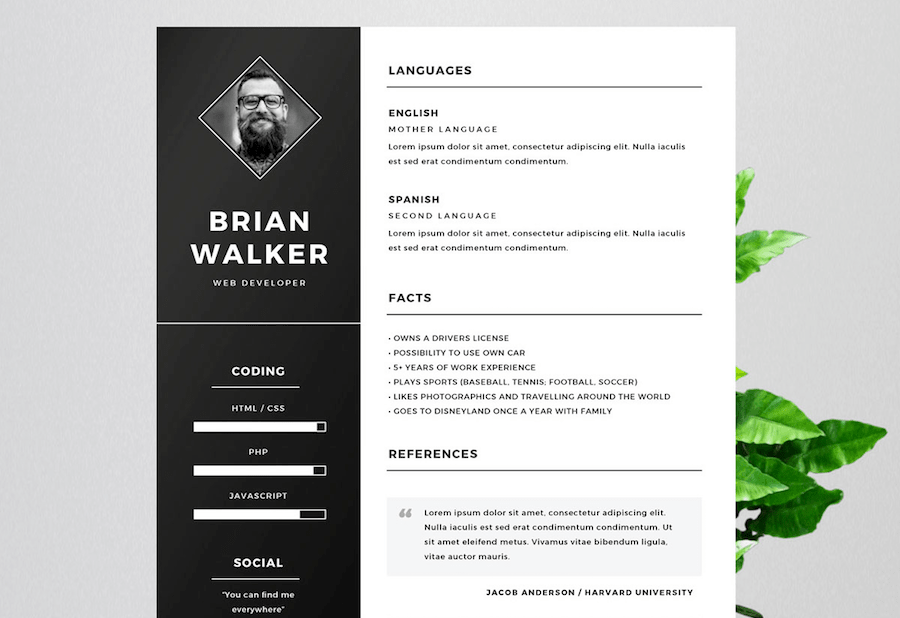 50 Best Resume Templates For Word That Look Like Photoshop ...