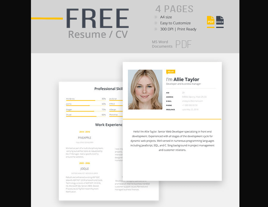 Cv Template Docx Free Download