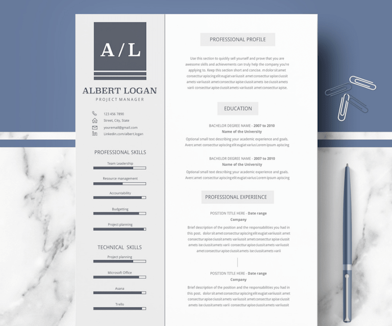 PROFESSIONAL RESUME TEMPLATE