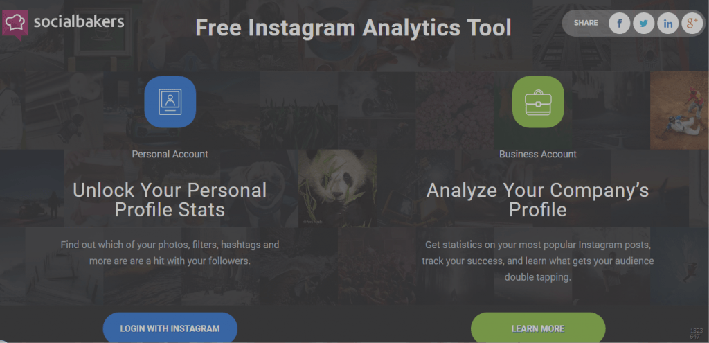 instagram - free instagram followers statistics