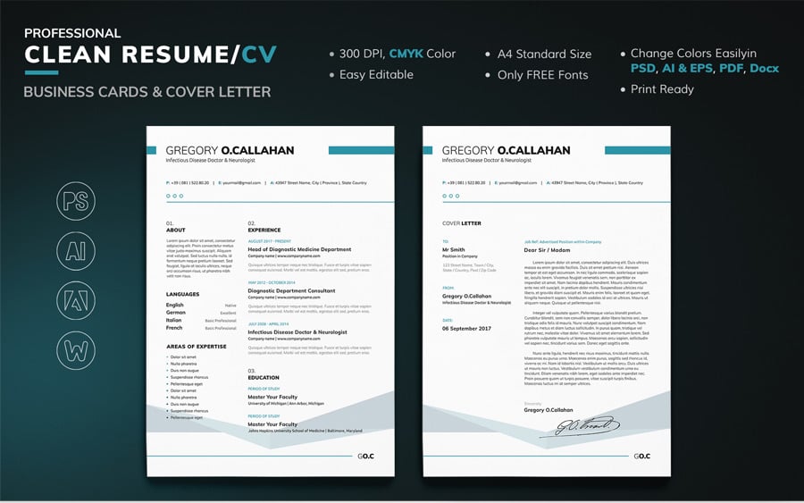 Cv Format 2Pages - CV Template, Professional Curriculum Vitae, Minimalist CV ...