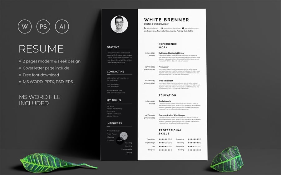 Modern Cv Template Word Free