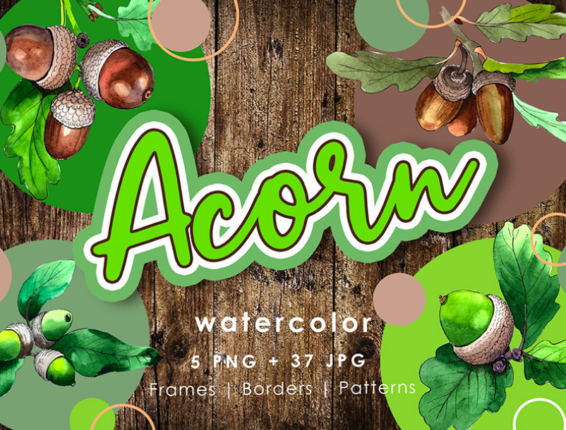 Acorn Plant PNG Watercolor Creative Set Illustration