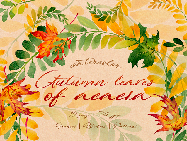 Autumn Leaves Of Acacia PNG Watercolor Set Illustration