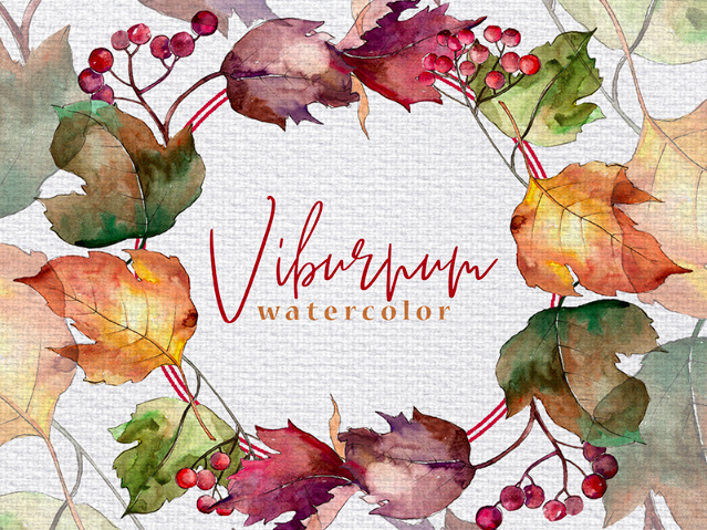 Autumn Viburnum Leaves PNG Watercolor Set Illustration