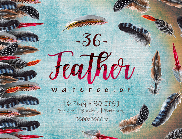 Delightful Feathers PNG Watercolor Set Illustration