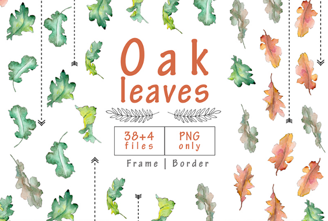 Oak Leaves PNG Watercolor Set Illustration