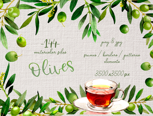 Branches of Olive Tree PNG Watercolor Set Illustration