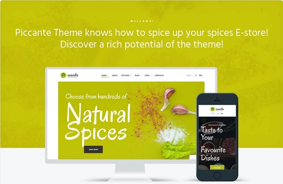 Piccante - Spices Store Thème WooCommerce Elementor