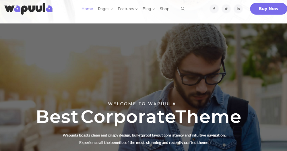 Wapuula - Multipurpose Corporate WordPress Theme