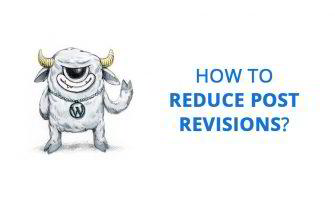 How to Reduce Post Revisions in WordPress Website?